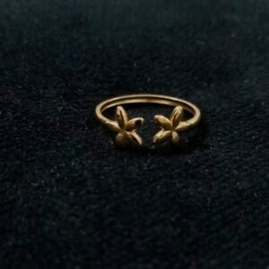 Rings R02
